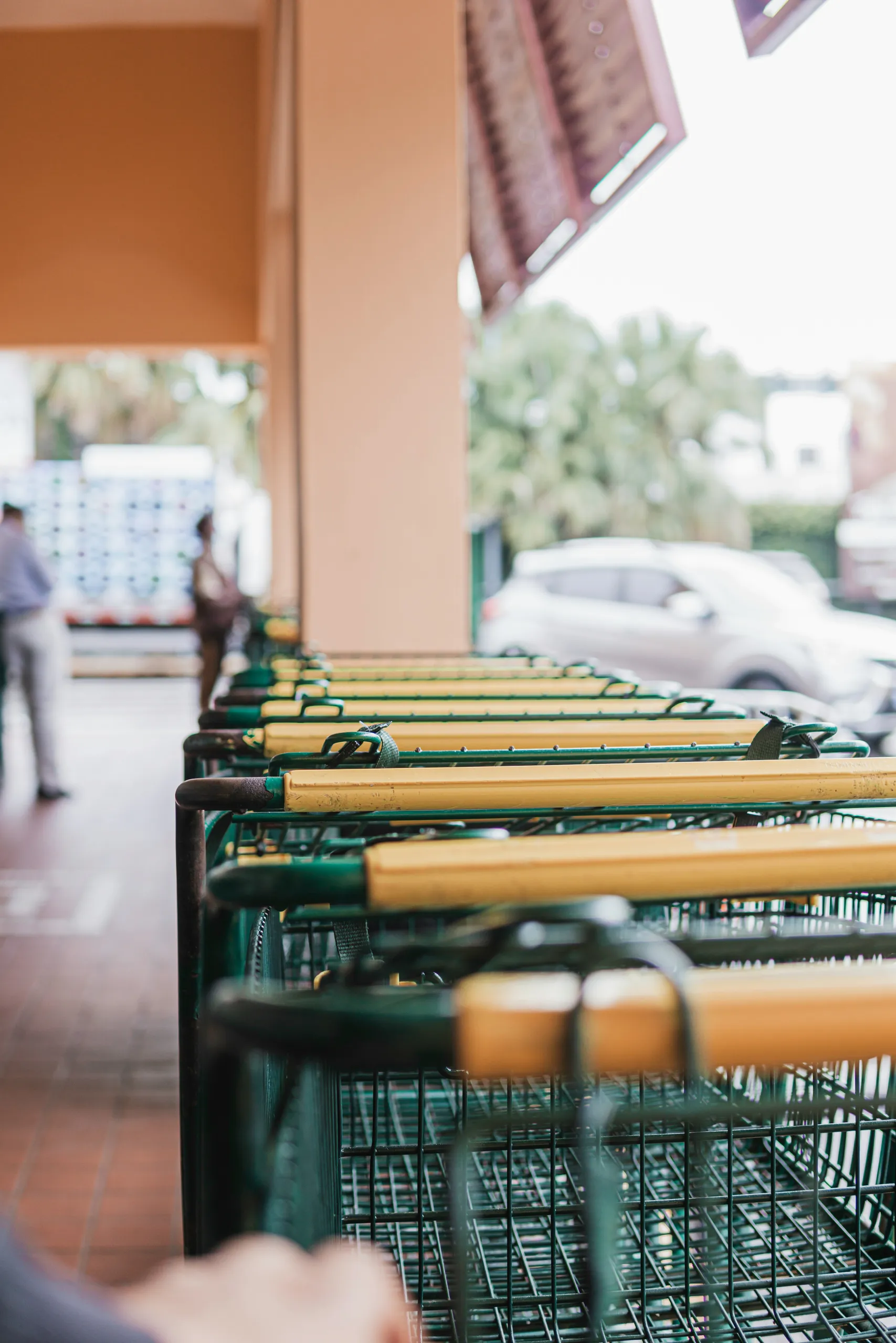 Carros de la compra ante la entrada de la delicatessen